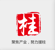 聚焦產(chǎn)業(yè)，努力援桂